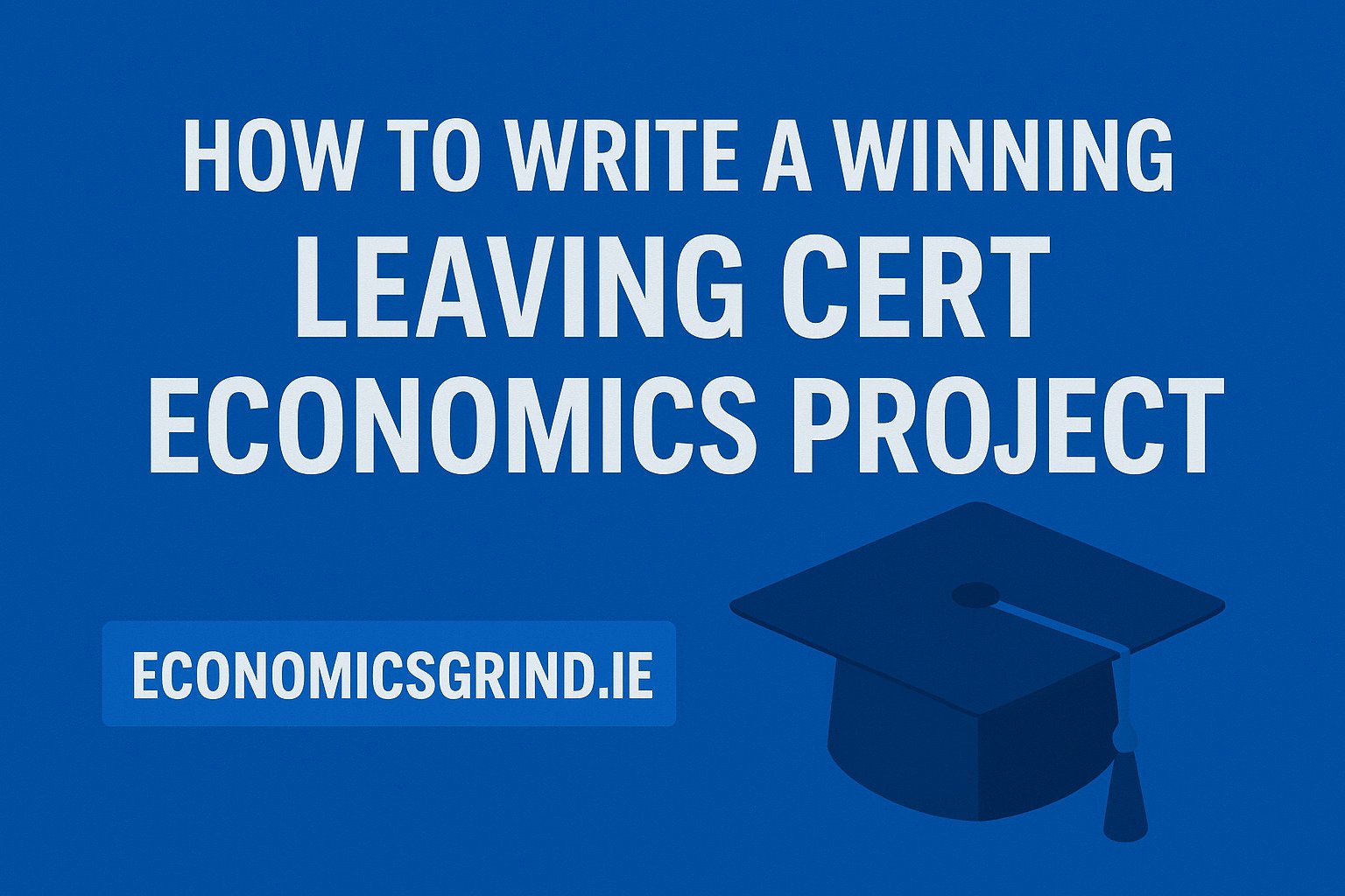 Leaving Cert Economics Project